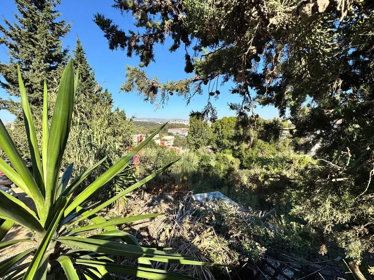 Vente Terrain Tanger